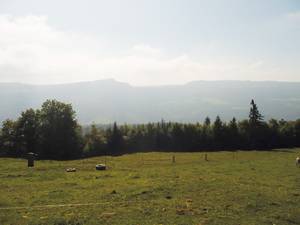 csm_18_Landschaft_9fafb0a4f0